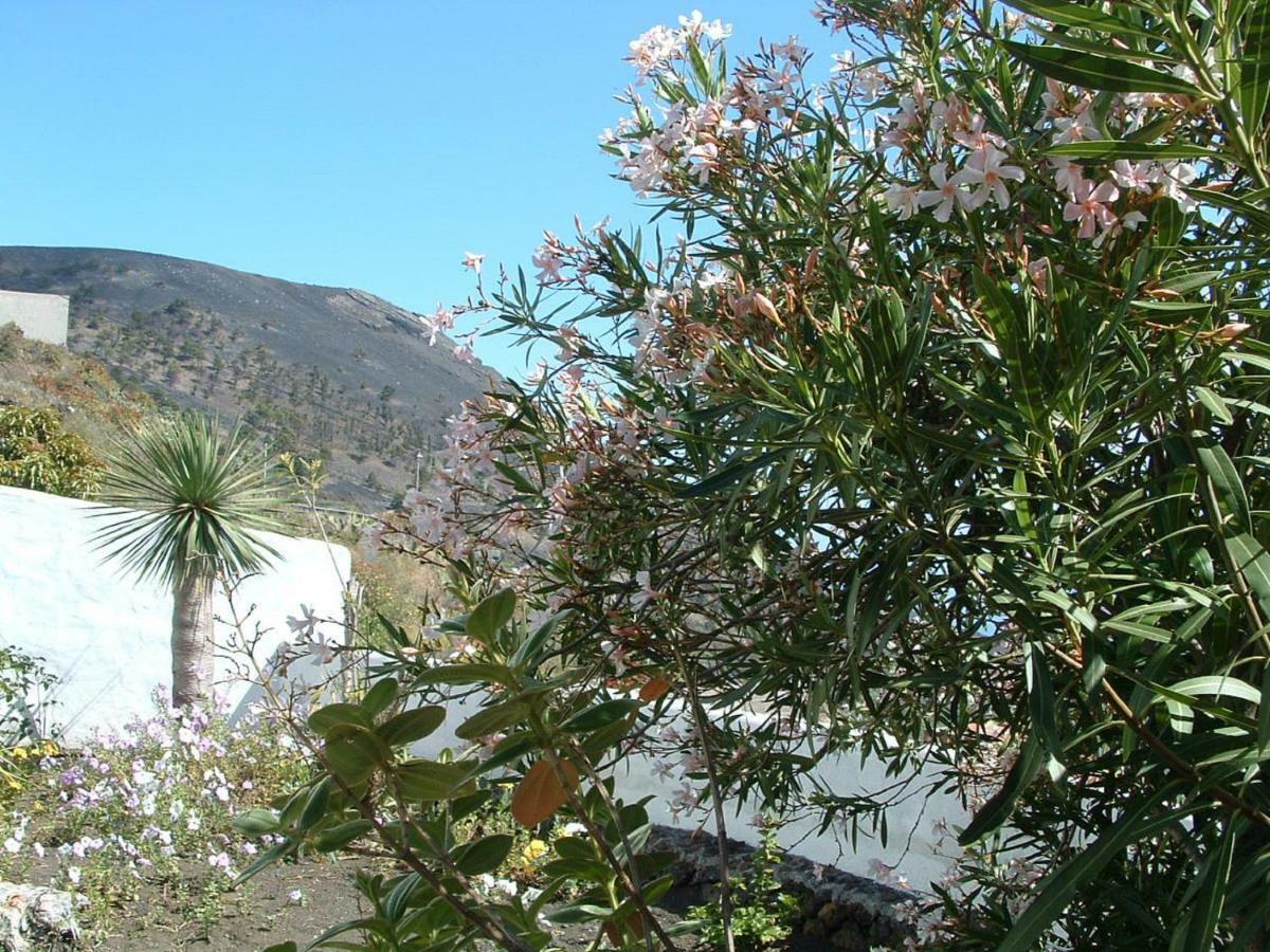 Casa Los Vinedos B Fuencaliente de la Palma Kültér fotó